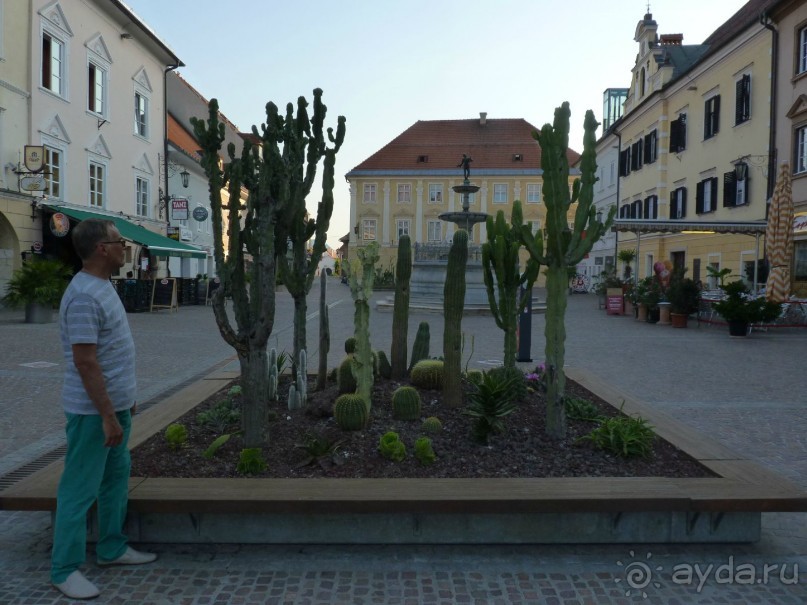 Австрия, Австрия!!  опять через Австрию