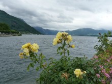 Австрия, Австрия!!  опять через Австрию