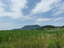 Австрия, Австрия!!  опять через Австрию