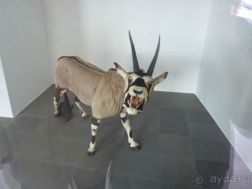 Австрия, Австрия!!  опять через Австрию