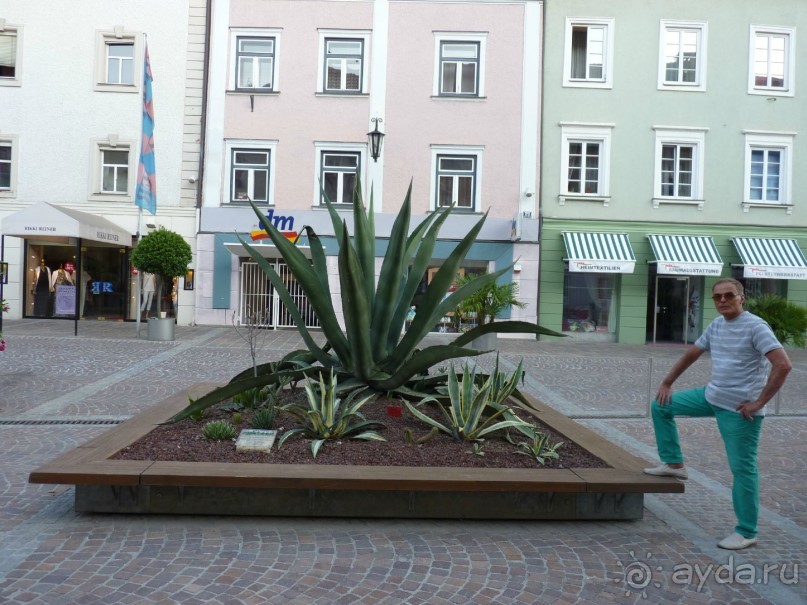 Австрия, Австрия!!  опять через Австрию