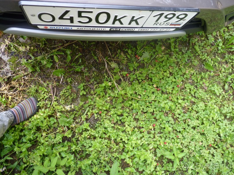 Австрия, Австрия!!  опять через Австрию