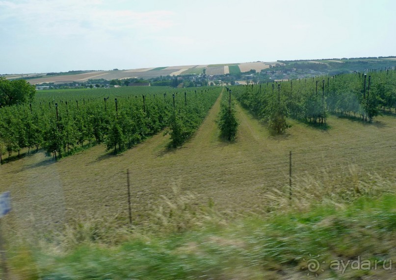 Австрия, Австрия!!  опять через Австрию