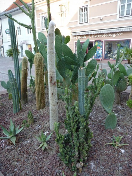 Австрия, Австрия!!  опять через Австрию