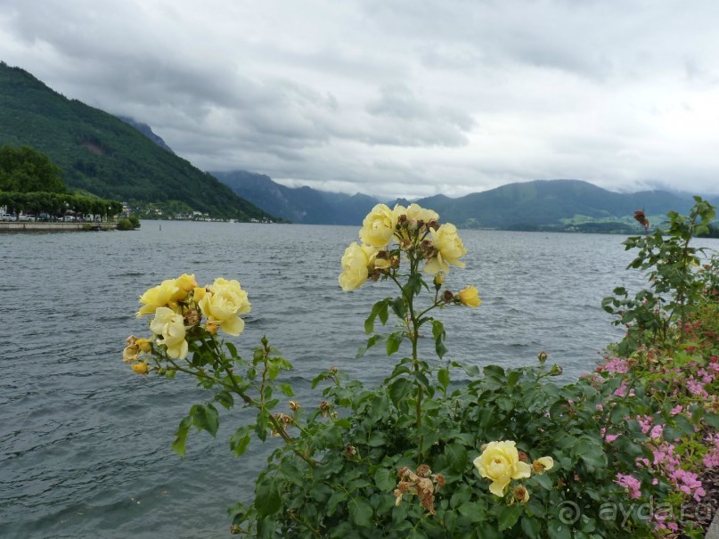 Австрия, Австрия!!  опять через Австрию