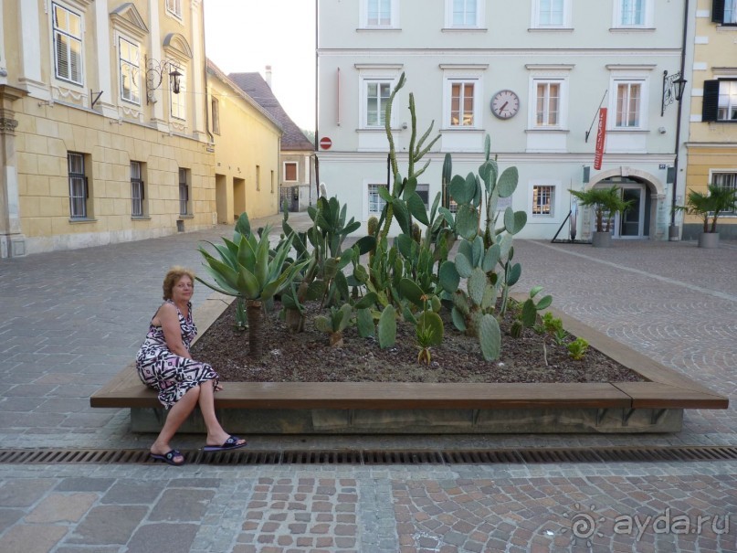 Австрия, Австрия!!  опять через Австрию