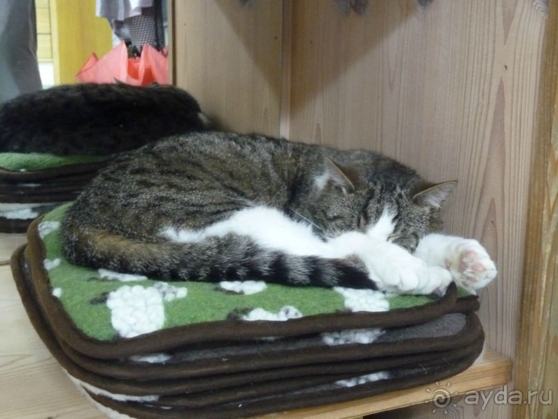 Австрия, Австрия!!  опять через Австрию