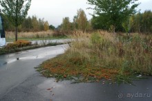 Часть III  Какими могут быть парки