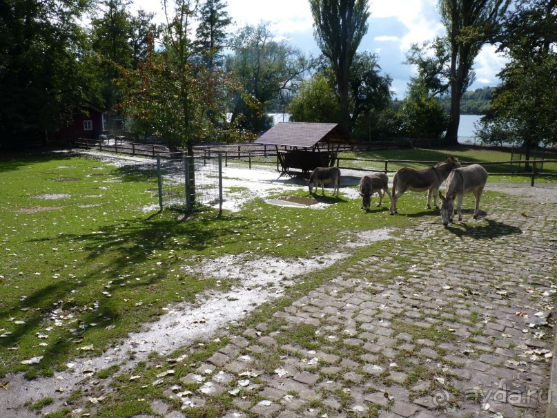 Часть III  Какими могут быть парки