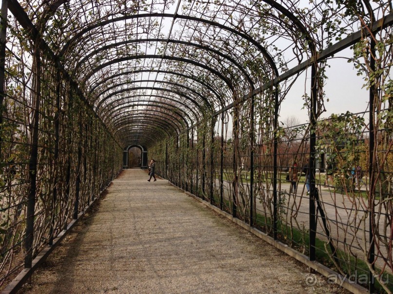 Альбом отзыва "Прогулка с отдыхом, в Австро-Венгрию перед рождеством"