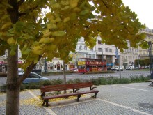 Прогулка с отдыхом, в Австро-Венгрию перед рождеством