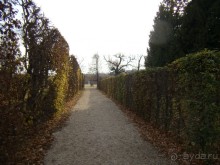 Альбом отзыва "Прогулка с отдыхом, в Австро-Венгрию перед рождеством"