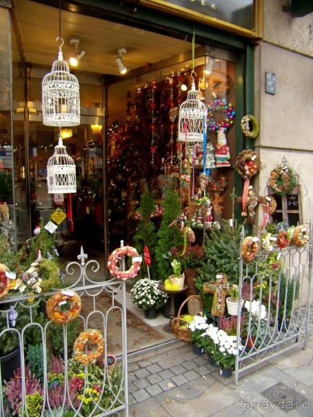 Прогулка с отдыхом, в Австро-Венгрию перед рождеством