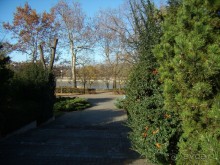 Прогулка с отдыхом, в Австро-Венгрию перед рождеством