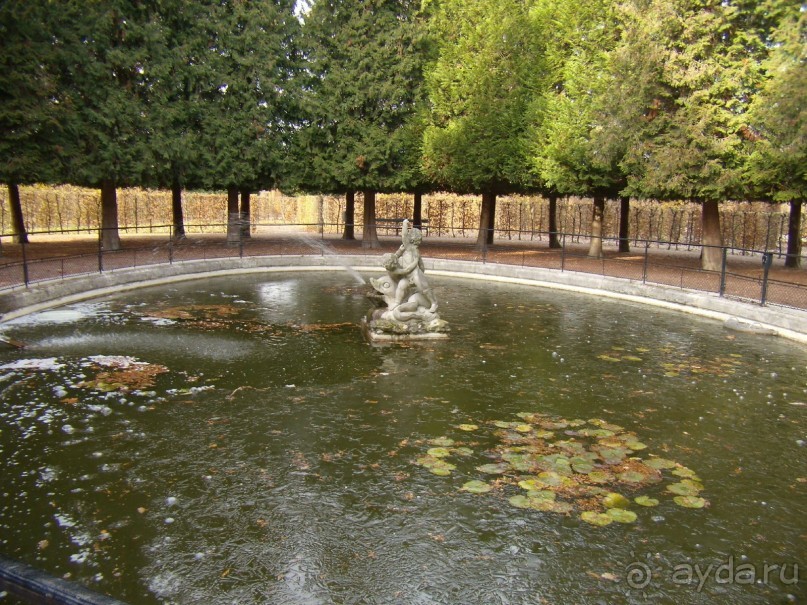 Альбом отзыва "Прогулка с отдыхом, в Австро-Венгрию перед рождеством"