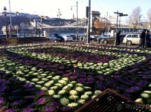 Прогулка с отдыхом, в Австро-Венгрию перед рождеством