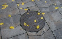 Прогулка с отдыхом, в Австро-Венгрию перед рождеством