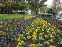 Прогулка с отдыхом, в Австро-Венгрию перед рождеством