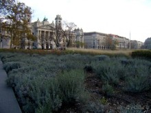 Прогулка с отдыхом, в Австро-Венгрию перед рождеством