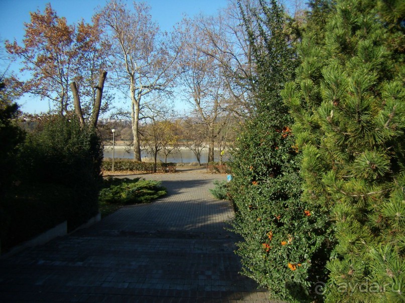 Прогулка с отдыхом, в Австро-Венгрию перед рождеством