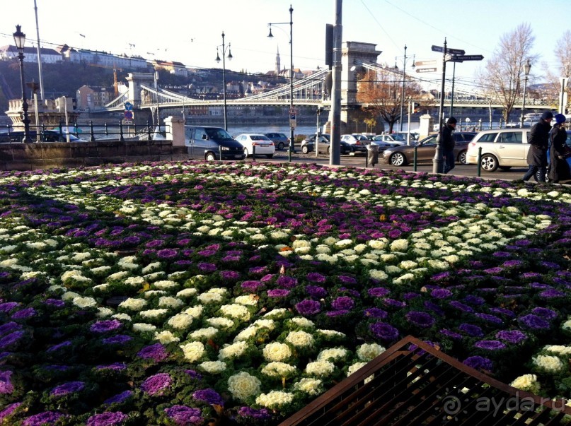 Прогулка с отдыхом, в Австро-Венгрию перед рождеством