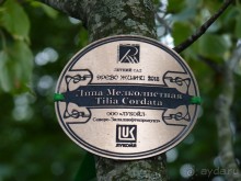 а что там Питер!?