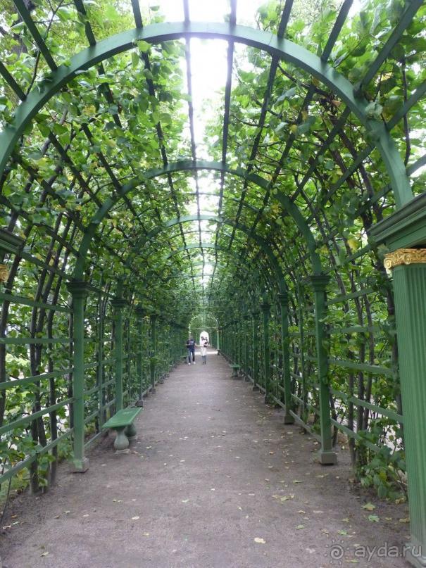 а что там Питер!?