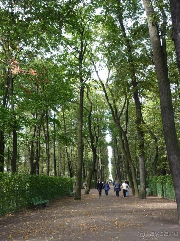 а что там Питер!?