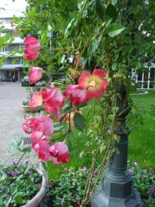 Отдых на термальном курорте перед Рождеством. Велопробежки по окрестностям.  Часть 7. 