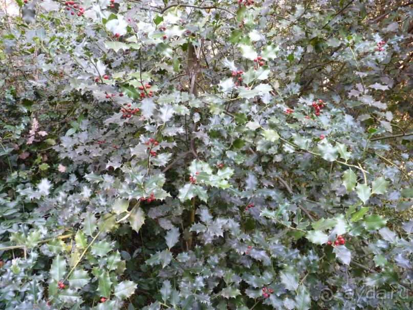 Отдых на термальном курорте перед Рождеством. Велопробежки по окрестностям.  Часть 7. 