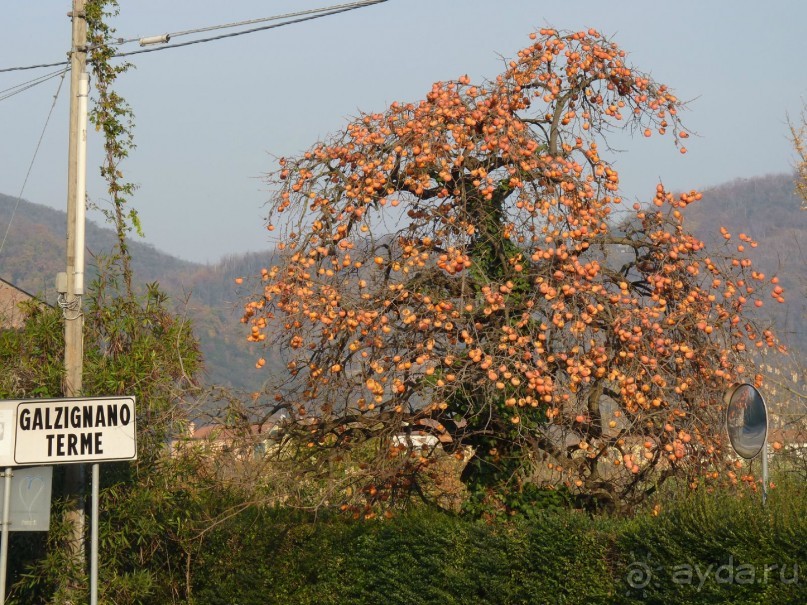 Отдых на термальном курорте перед Рождеством. Велопробежки по окрестностям.  Часть 7. 