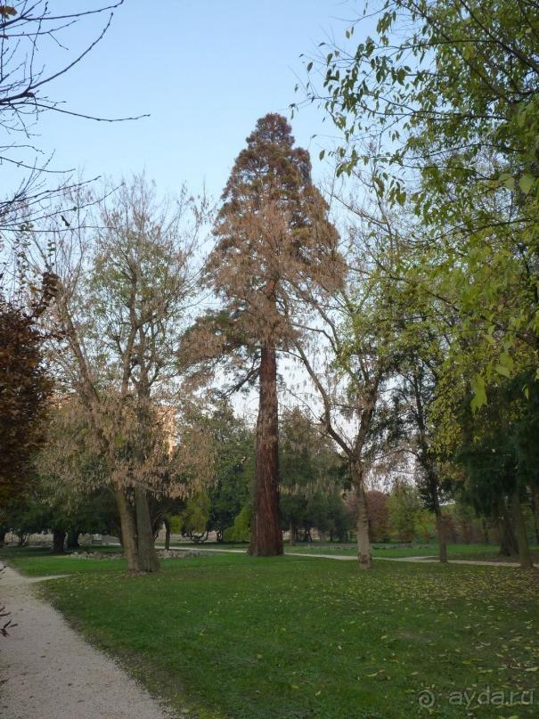 Отдых на термальном курорте перед Рождеством. Велопробежки по окрестностям.  Часть 7. 