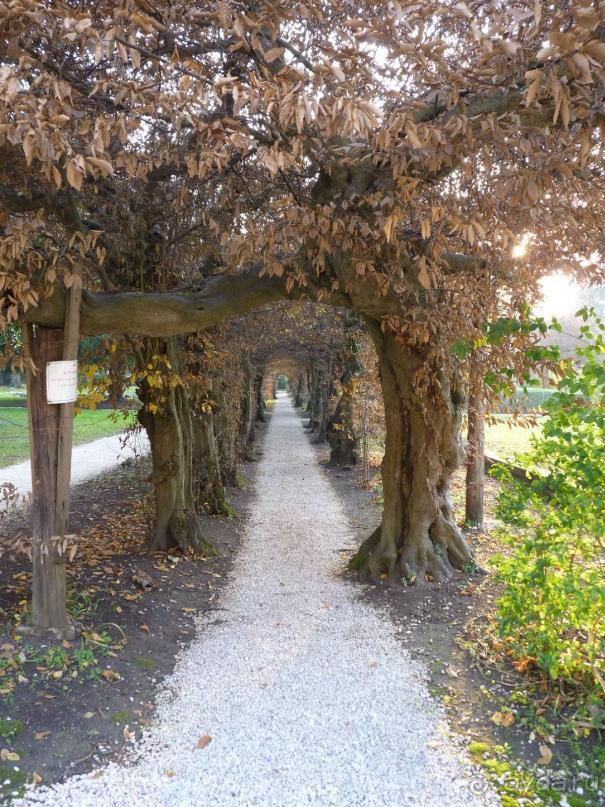 Отдых на термальном курорте перед Рождеством. Велопробежки по окрестностям.  Часть 7. 