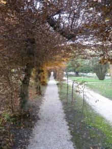 Отдых на термальном курорте перед Рождеством. Велопробежки по окрестностям.  Часть 7. 