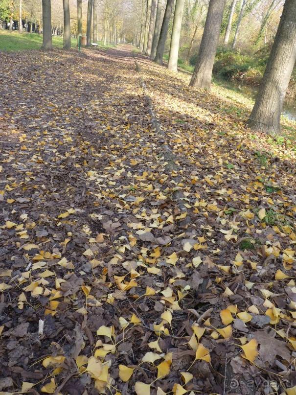 Отдых на термальном курорте перед Рождеством. Велопробежки по окрестностям.  Часть 7. 