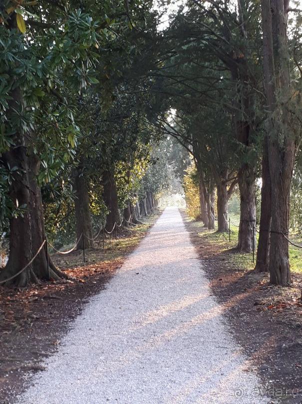 Отдых на термальном курорте перед Рождеством. Велопробежки по окрестностям.  Часть 7. 