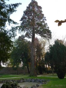Отдых на термальном курорте перед Рождеством. Велопробежки по окрестностям.  Часть 7. 