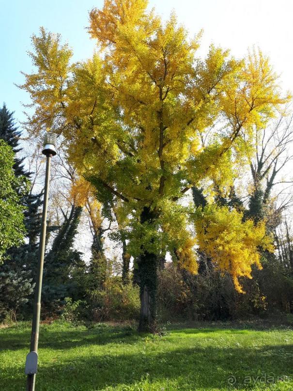 Отдых на термальном курорте перед Рождеством. Велопробежки по окрестностям.  Часть 7. 