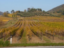 Отдых на термальном курорте перед Рождеством. Велопробежки по окрестностям.  Часть 7. 