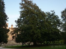 Отдых на термальном курорте перед Рождеством. Велопробежки по окрестностям.  Часть 7. 