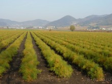 Отдых на термальном курорте перед Рождеством. Велопробежки по окрестностям.  Часть 7. 