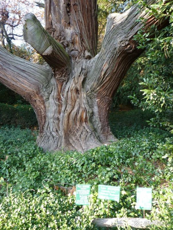 Отдых на термальном курорте перед Рождеством. Велопробежки по окрестностям.  Часть 7. 