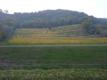 Отдых на термальном курорте перед Рождеством. Велопробежки по окрестностям.  Часть 7. 