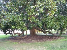 Отдых на термальном курорте перед Рождеством. Велопробежки по окрестностям.  Часть 7. 