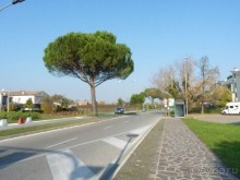 Отдых на термальном курорте перед Рождеством. Велопробежки по окрестностям.  Часть 7. 