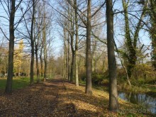 Отдых на термальном курорте перед Рождеством. Велопробежки по окрестностям.  Часть 7. 