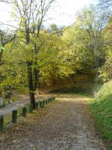 Отдых на термальном курорте перед Рождеством. Велопробежки по окрестностям.  Часть 7. 