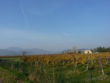 Отдых на термальном курорте перед Рождеством. Велопробежки по окрестностям.  Часть 7. 