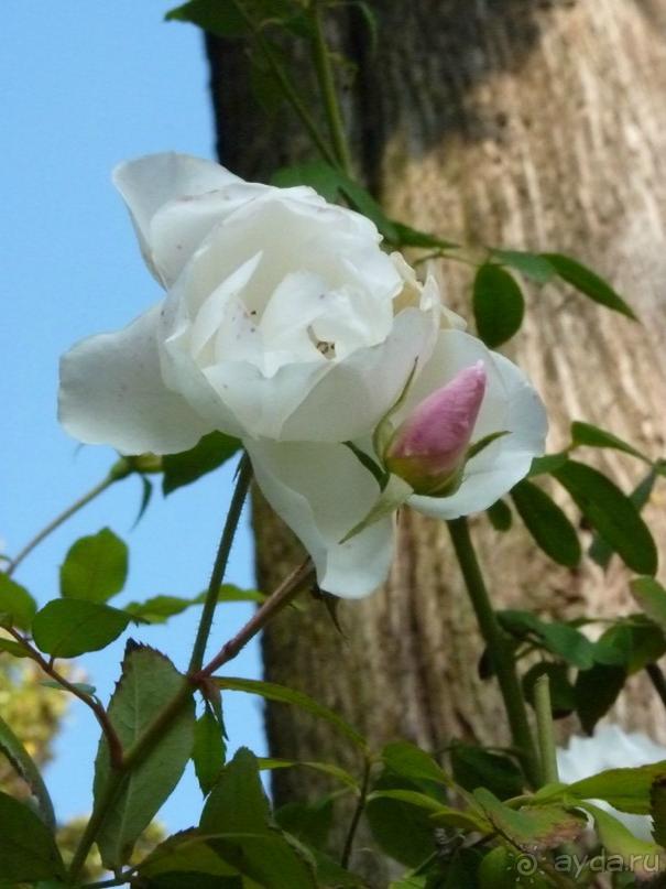 Отдых на термальном курорте перед Рождеством. Велопробежки по окрестностям.  Часть 7. 