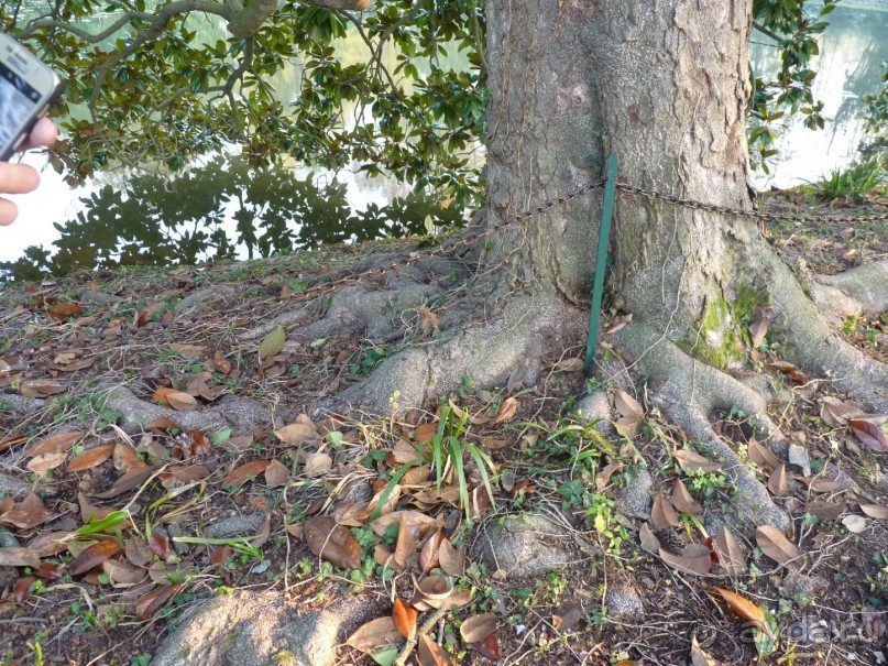 Отдых на термальном курорте перед Рождеством. Велопробежки по окрестностям.  Часть 7. 